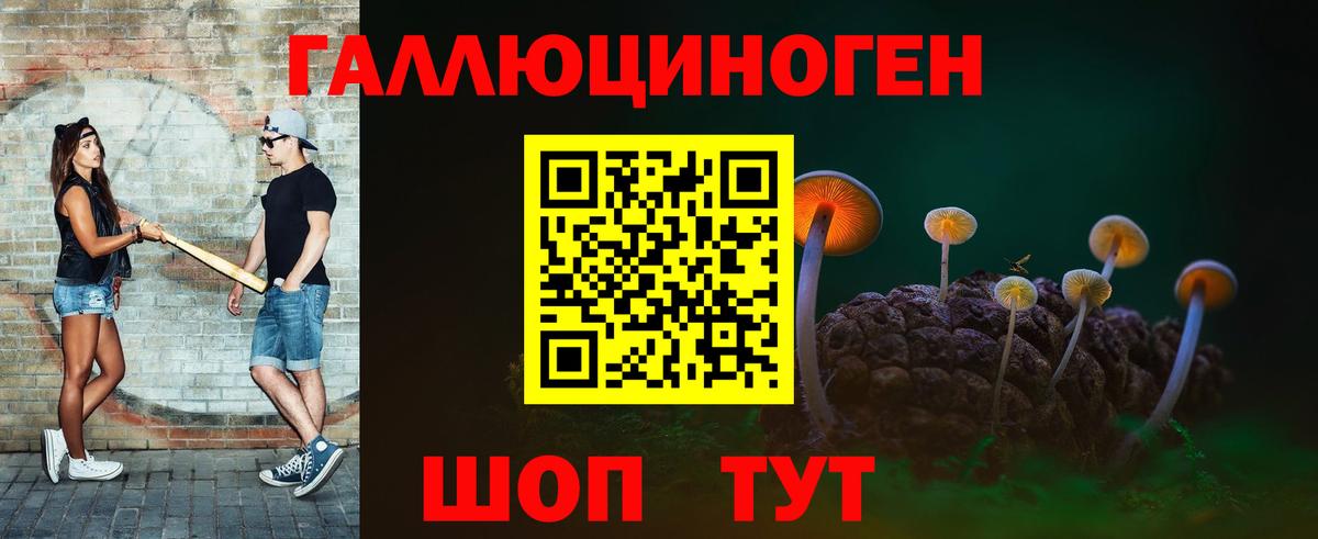 Псилоцибиновые грибы MAGIC MUSHROOMS  Вход с VPN  Кохма  Галлюциногенные грибы Magic Shrooms 